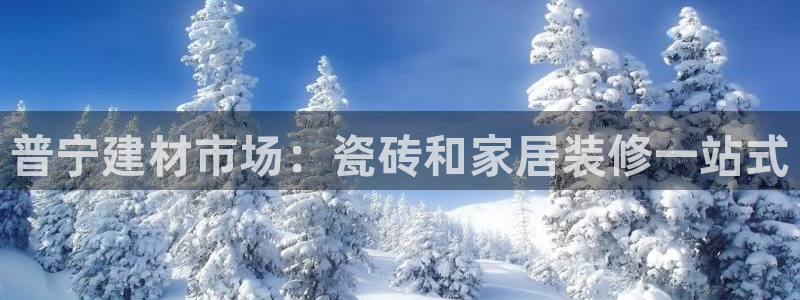 杏鑫娱乐怎么下