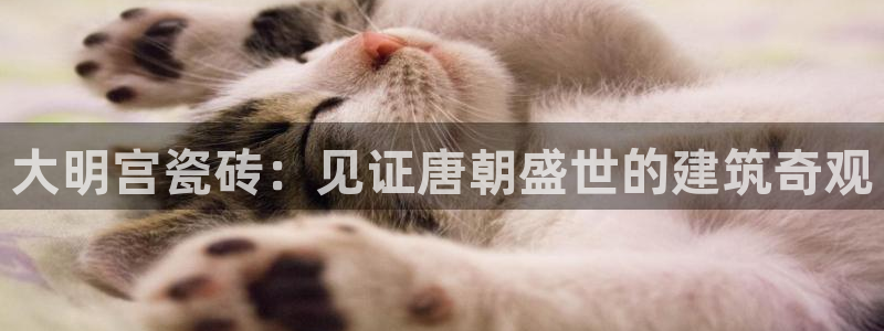 杏鑫平台怎么样黑钱吗是真的吗