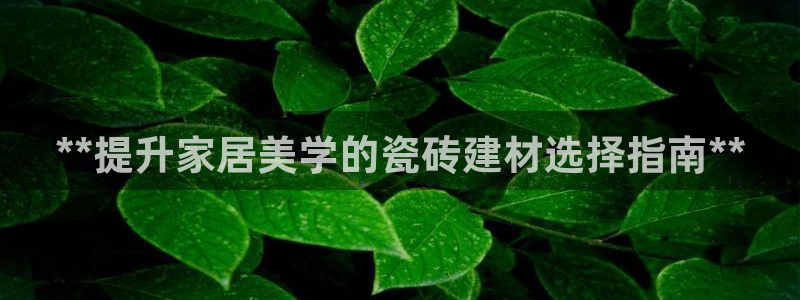 杏鑫官网