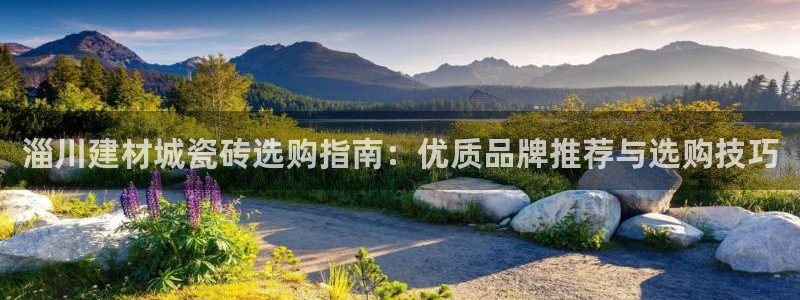 杏鑫平台野马联盟怎么样