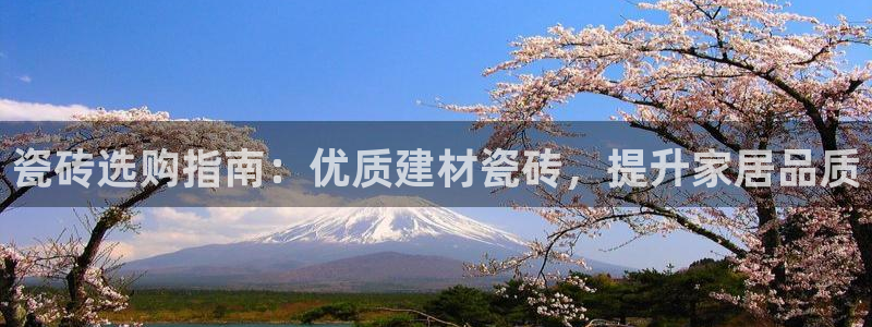 杏鑫平台在线注册