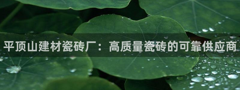 杏鑫平台代理注册登录不了怎么办呀苹果