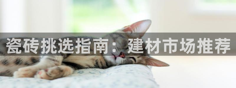 杏鑫平台正规吗是真的吗