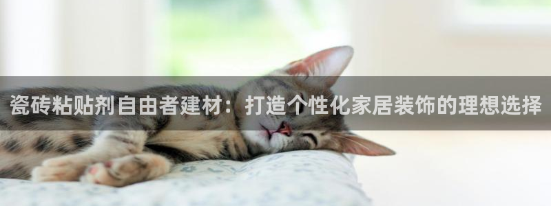 杏鑫主管
