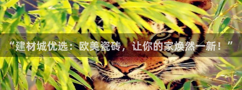 杏鑫平台登录地址