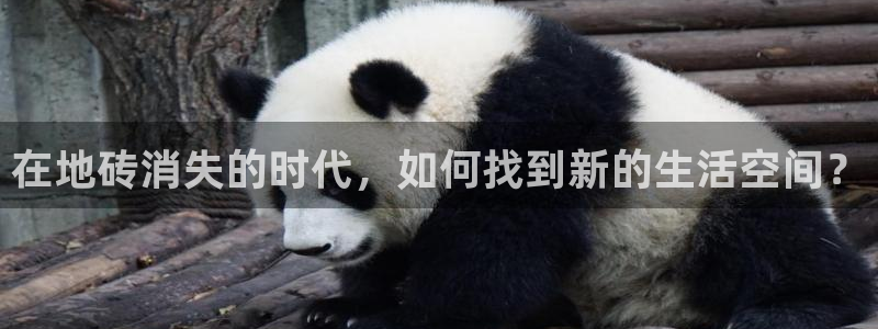 杏鑫平台直属哪个公司