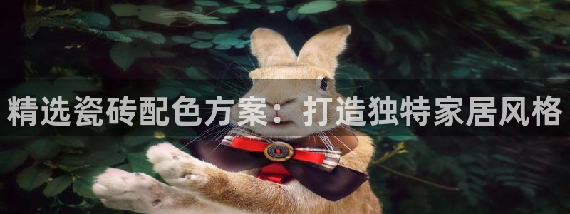 杏鑫平台代理注册