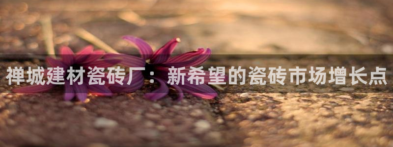 杏鑫平台注册入口