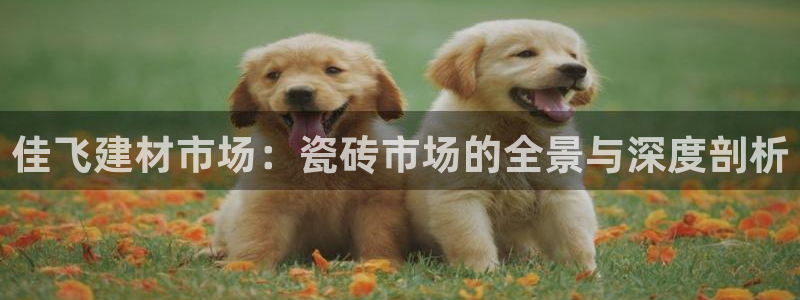 杏鑫平台招商怎么样啊