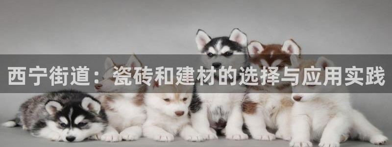 杏鑫娱乐官网