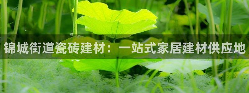 杏鑫平台注册网址查询