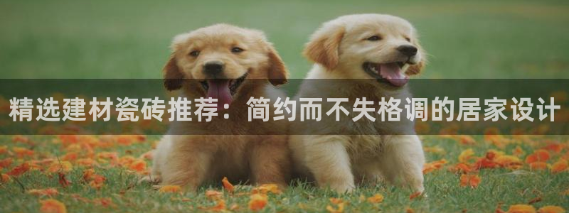 杏鑫平台招商怎么样可靠吗