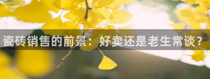 杏鑫平台招商