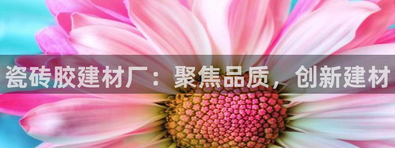 杏鑫平台代理