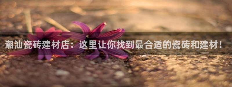 杏鑫平台野马联盟