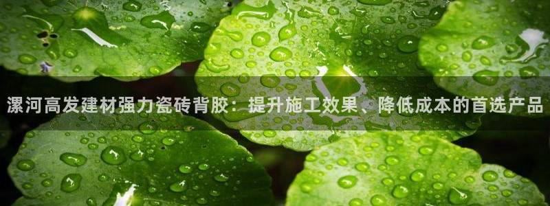 杏鑫手机客户端怎么下载