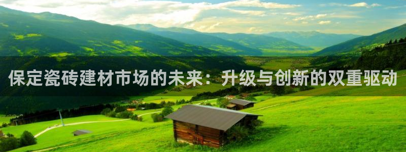 杏鑫平台代理怎么样啊