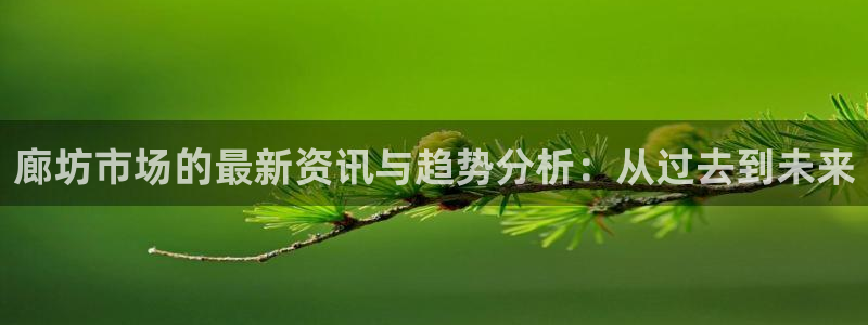 杏鑫平台是黑平台吗是真的吗