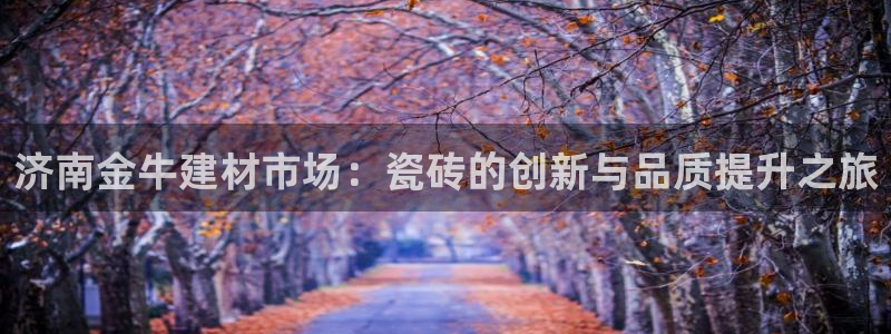 杏鑫娱乐开发团队