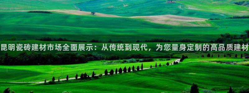 杏鑫平台招商电话