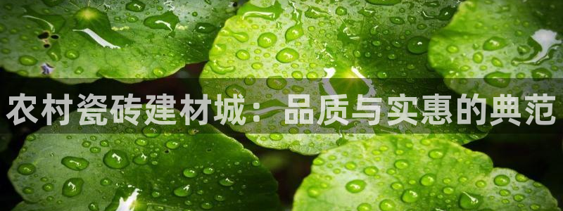 杏鑫3主管