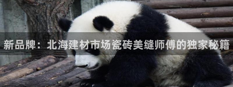 杏鑫平台代理注册登录不了怎么办呀