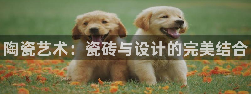 杏鑫平台号7O777