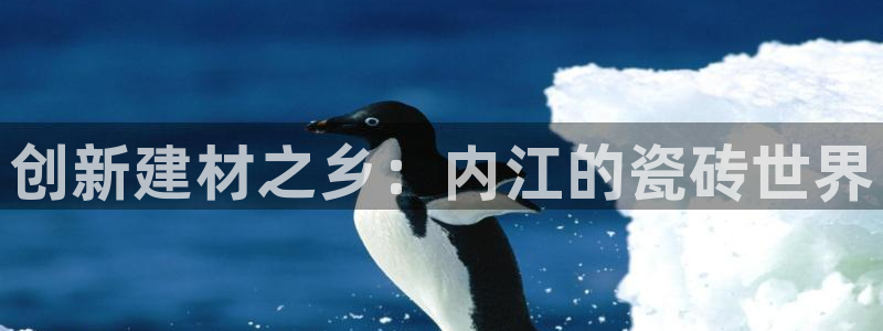 杏鑫官网注册账号怎么注册