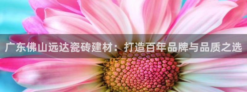 杏鑫平台代理怎么做的