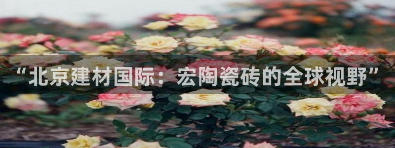 杏鑫平台怎么样黑钱吗是真的吗吗