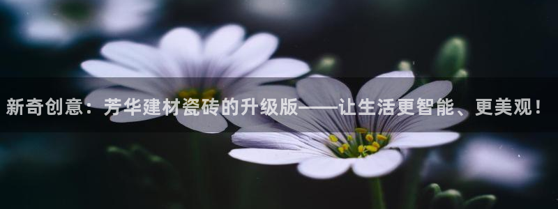杏鑫招商总代
