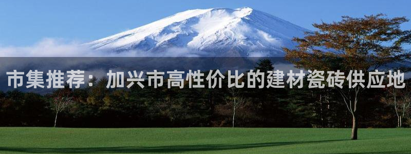 杏鑫平台代理注册流程及费用