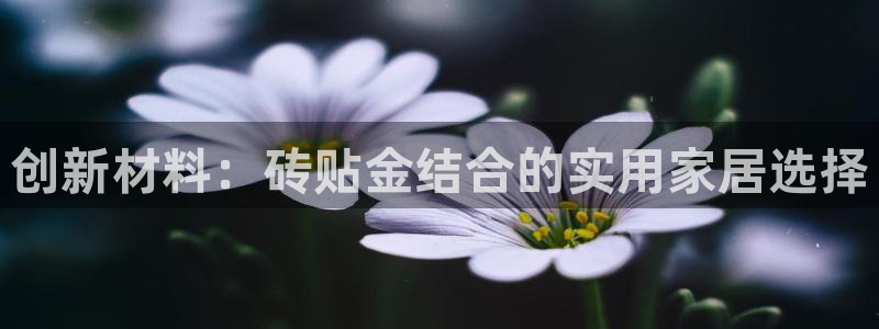 杏鑫平台线路测速