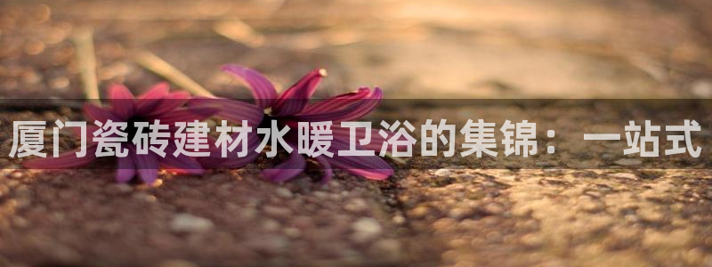 杏鑫娱乐官网下载