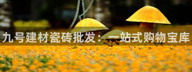 杏鑫平台代理注册登录不了怎么办呀苹果