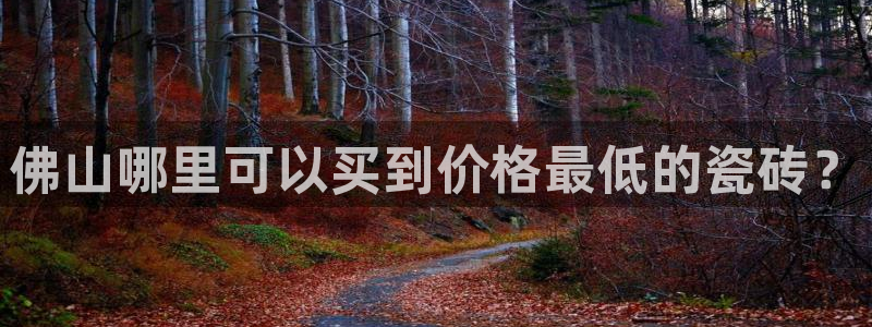 杏鑫注册平台官方网站是什么