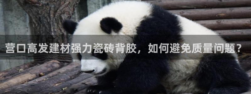 杏鑫平台注册网址是什么