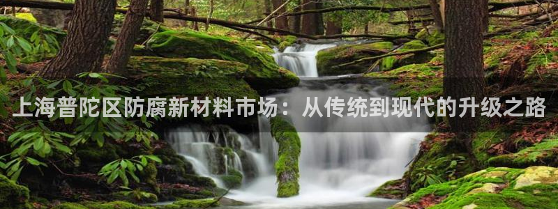 杏鑫平台代理注册流程及费用