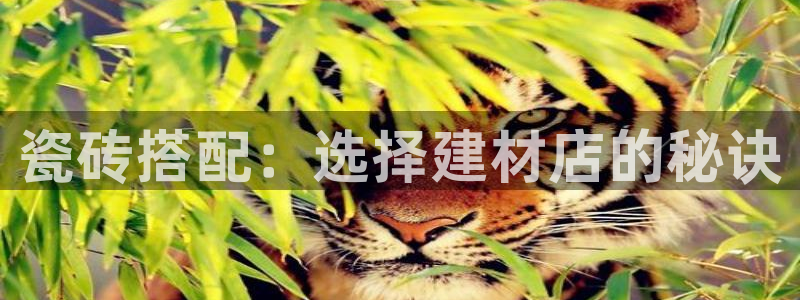 杏鑫官网注册账号是什么样的