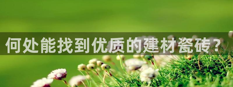 杏鑫注册登录代理公司