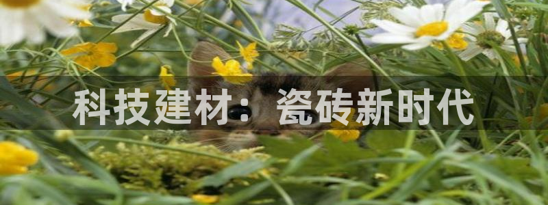 杏鑫平台线路测速