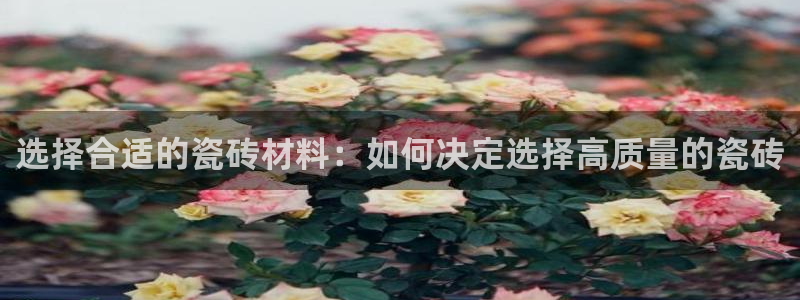 杏鑫平台注册入口