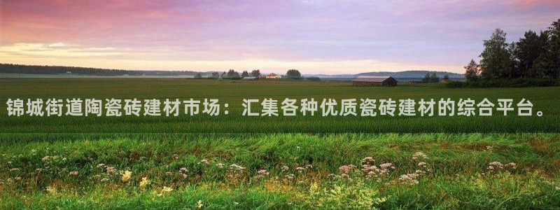 杏鑫官网注册账号是什么意思