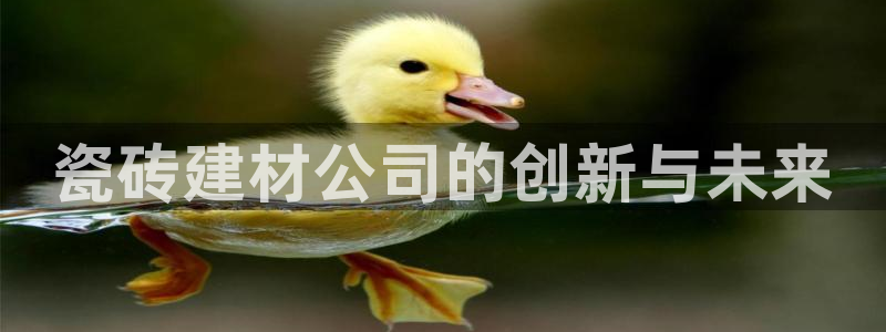 杏鑫平台是黑平台吗