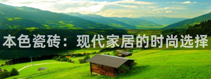 杏鑫注册平台官方网站是什么