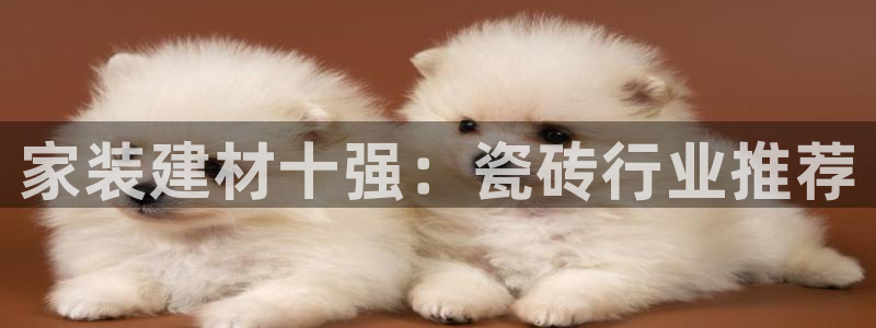 杏鑫平台注册地址在哪里