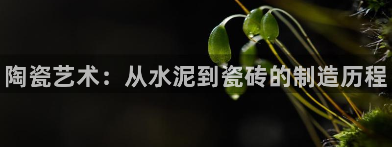 杏鑫平台注册入口