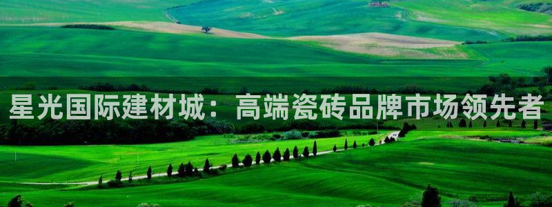 杏鑫平台代理注册流程