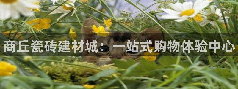 杏鑫官方平台怎么样可靠吗