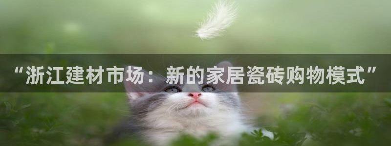 杏鑫平台在线注册流程